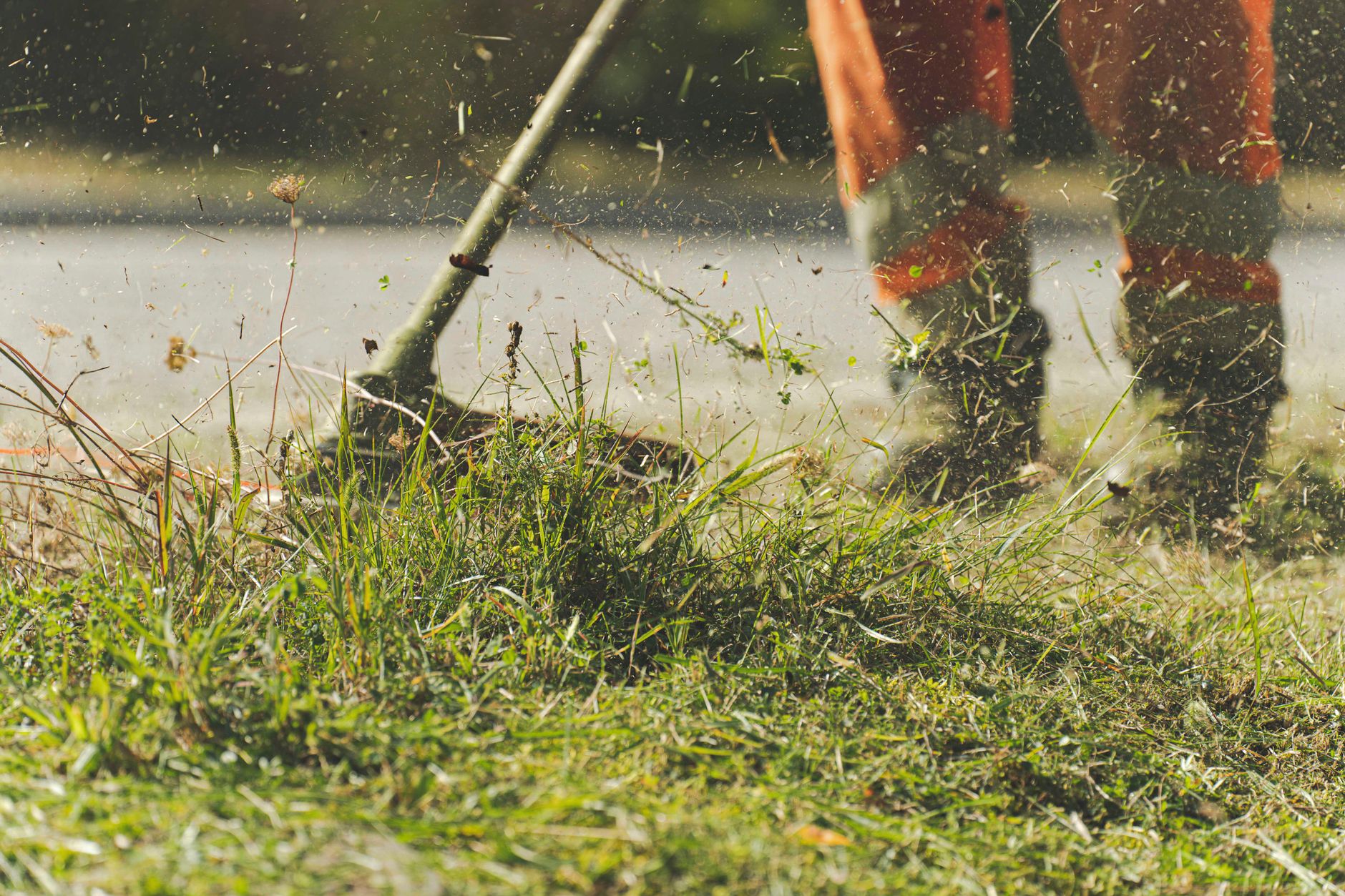 Emergency Service — R Squared Lawn Care